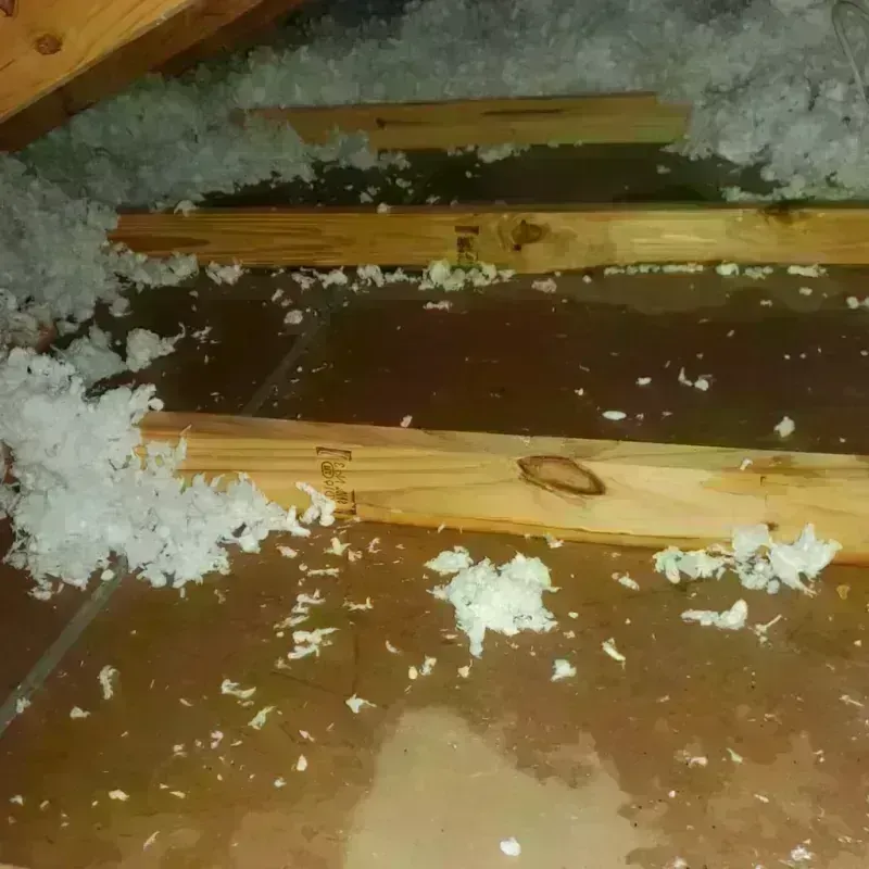 Attic Water Damage in Jefferson, OR