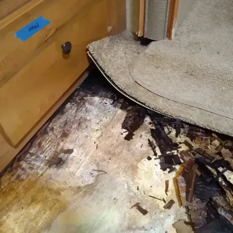 Wood Floor Water Damage in Jefferson, OR